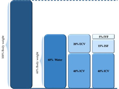 The repartition of body water within the different compartments as ...