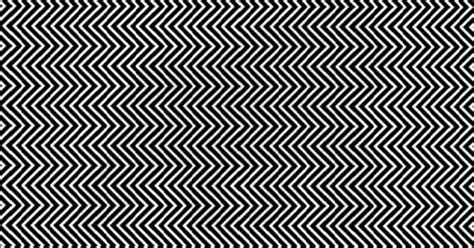 This Optical Illusion Conceals An Animal. Can You Find It?