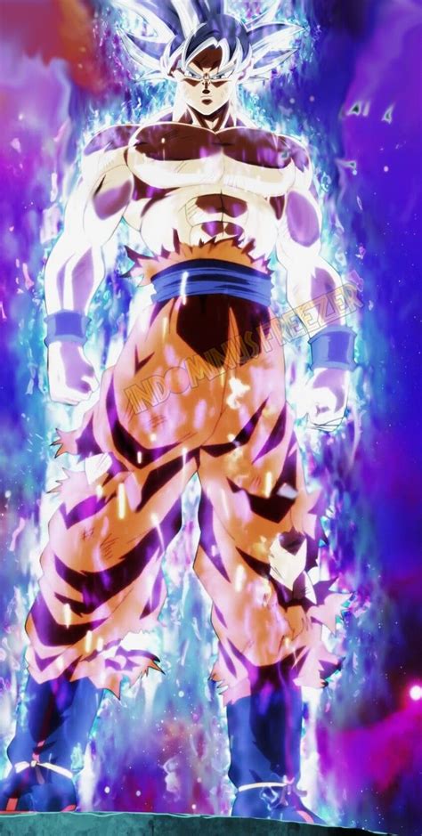 Goku Ultra Instinct | Dragon ball goku, Anime dragon ball super, Dragon ...