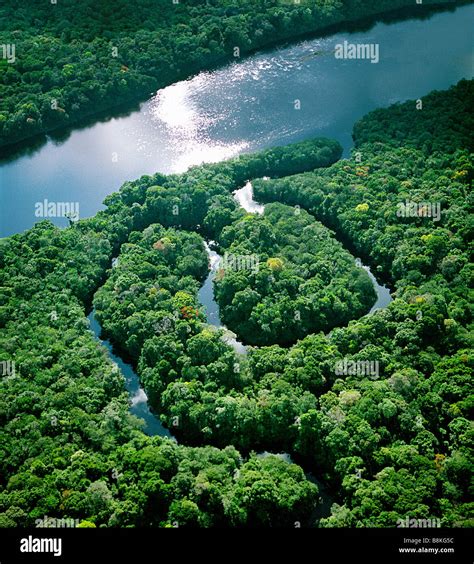 Winding tributary of Amazon River Stock Photo - Alamy