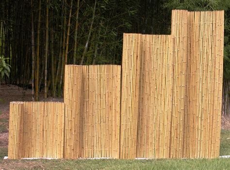 Bamboo Australia » Bamboo Fences & Screens