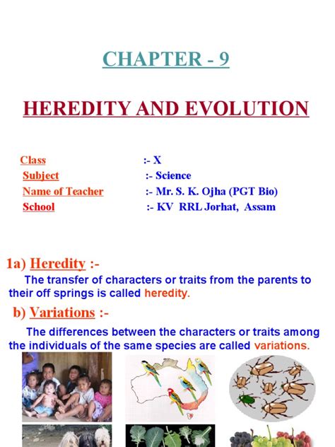 Heredity and Evolution | Heredity | Genetic Variation