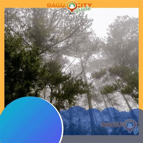 Baguio Weather August 18, 2020 | Baguio, Weather, Baguio city