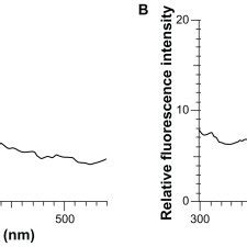 Fluorescence microscopy of nanoparticles-fluorescein isothiocyanate ...