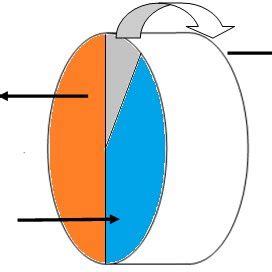 Desiccant wheel with purge sector (3) | Download Scientific Diagram