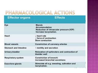 PARASYMPATHOMIMETIC DRUGS Classification and SAR.pptx