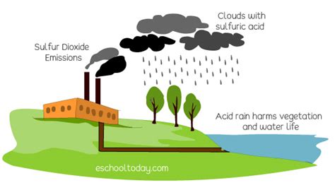 Effects of air pollution – Eschooltoday