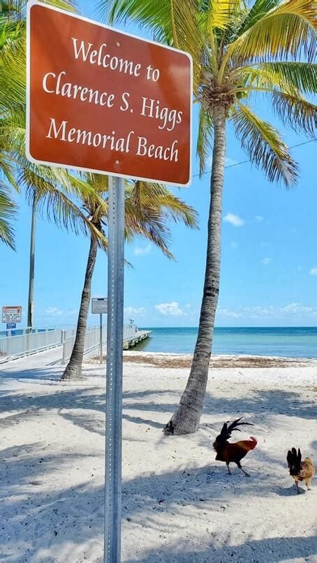 Key West Florida beaches! Higgs Beach is FREE! 🌞 swimming + pier, beach ...