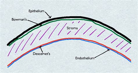 New corneal layer discovered: Dua’s Layer | VisionMD