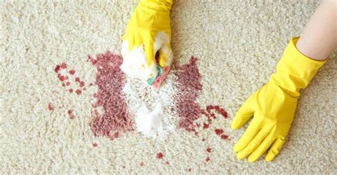 How To Remove Blood Stains | Companion Maids