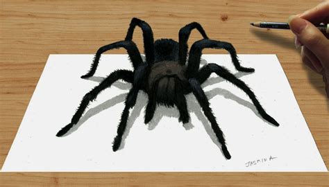 Realistic Spider Drawing