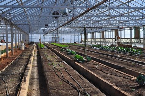 Powder Agriculture Farm Vermicompost at Rs 22/kg in Bengaluru | ID: 23251505830