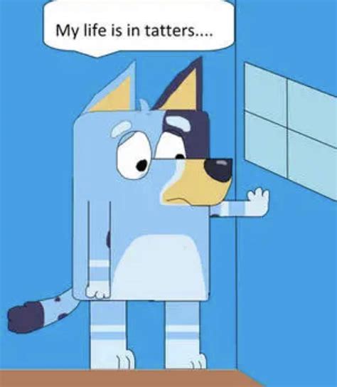 Bluey "my life is in tatters" | Bluey (TV Series) | Know Your Meme