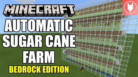 Minecraft Bedrock - Auto Sugar Cane Farm Tutorial ( Xbox / MCPE / Windows 10 / Switch ) - YouTube