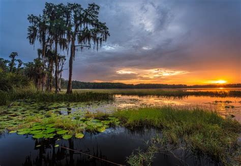 15 Best State Parks near ORLANDO, FL to Check Out in 2020