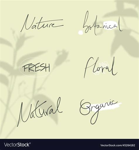 Nature words in minimal handwritten typography Vector Image