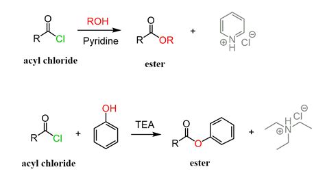 fischer esterification examples