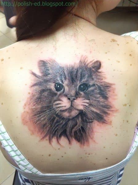 fluffy cat tattoo on back