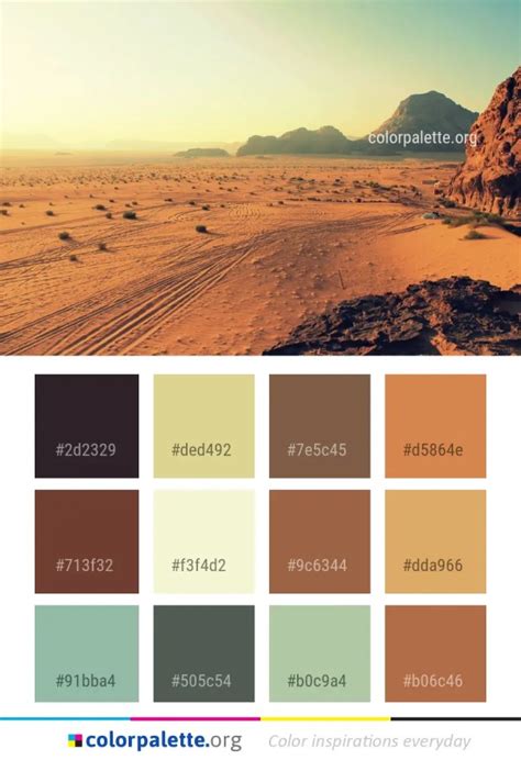 Desert Wadi Wilderness Color Palette | colorpalette.org