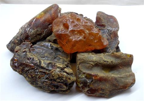 Amber (fossilized resin) Mineral Collection - 70-85 mm - 346 gr - (7) - Catawiki