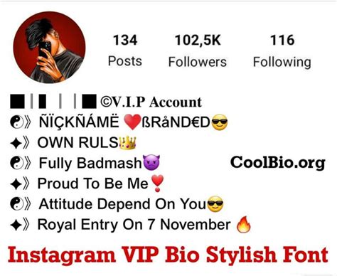 BEST 250+ Instagram VIP Bio Stylish Font (2023) - Cool Bio