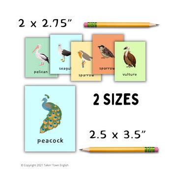 Birds Vocabulary Cards 32 Flashcards for Games Comparatives and Memory ...