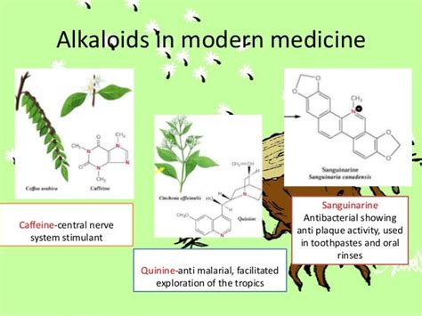 Chemistry of alkaloid