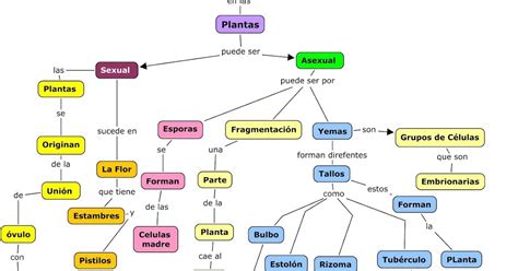 Cuadro Sinoptico De Las Funciones De La Celula - Consejos Celulares