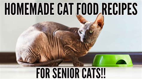 Homemade Cat Food Recipes For Senior Cats | Kitty County