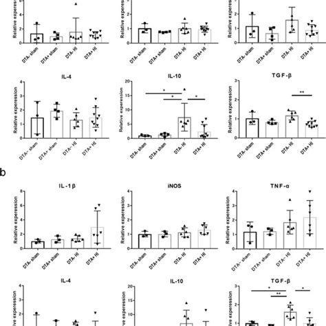 TUNEL and NeuN staining at P13 following HI insult at P10. a ...