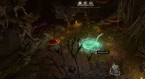 Baldur’s Gate 3 Mushroom Circle Underdark Guide | GameWatcher