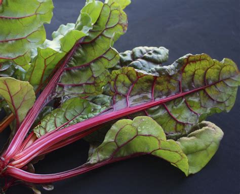 Dandelion, Chard + Kale: 8 Leafy Greens To Love