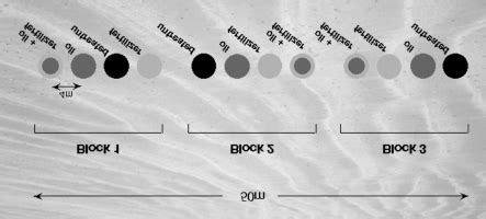 Design of field experiment. | Download High-Quality Scientific Diagram