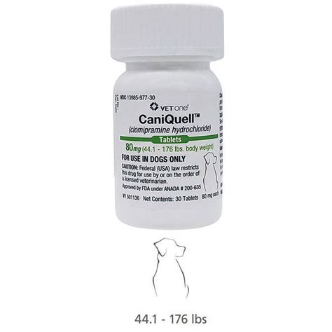 CaniQuell for Dogs - Clomipramine for Separation Anxiety | VetRxDirect