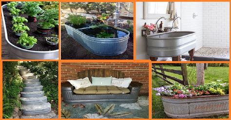 10 Easy And Innovative Ways To Repurpose A Water Trough - Genmice