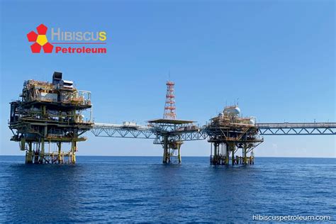 Hibiscus Petroleum 3Q net profit soars nearly 10-fold to RM307.54 mil, declares one sen dividend ...