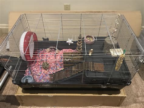 This the 620 square inch cage that I set up for my daughter’s new hamster. Please tell me what ...