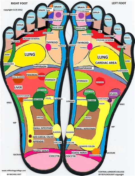 Reflexology London... You will leave after 75 minutes of Medical ...