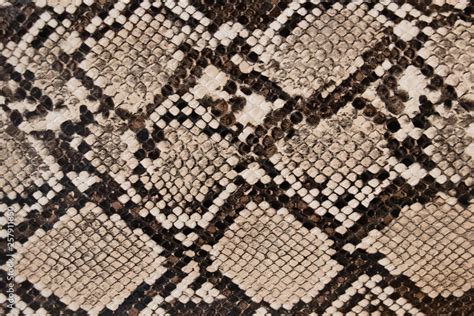 Fototapeta: background of snake skin texture #257911850 | Naklejamy.com'