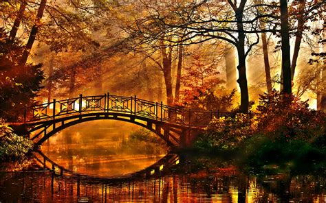 Autumn Bridge wallpaper | 2560x1600 | #28989