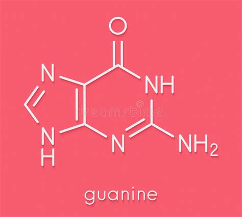 Guanine G Purine Nucleobase Molecule. Base Present in DNA and RNA ...