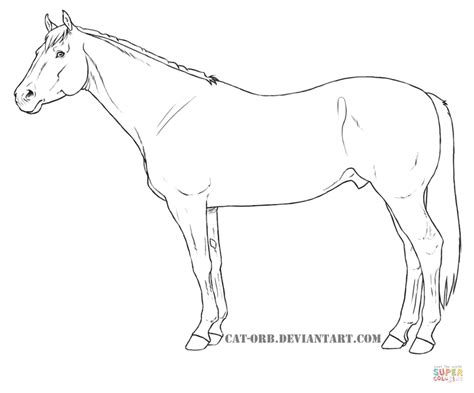 Horse Drawing Outlines at GetDrawings | Free download