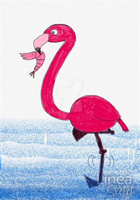 Flamingo Feeding by Tamarackpines on DeviantArt