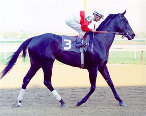 Ruffian | Hooves