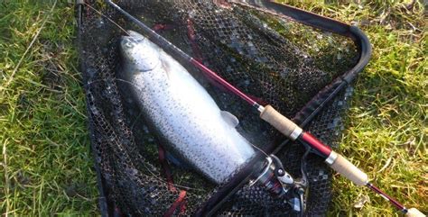 The 6 Best Rods for Trout Fishing in 2021 - By Experts