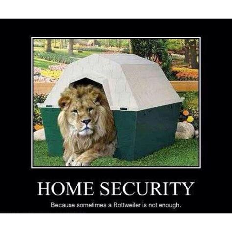 Home security | Diy security system, Funny pictures, Funny