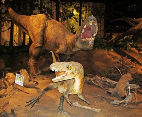 Dinosaurs at the Royal Tyrrell Museum in Drumheller, Alberta, Canada (With images) | Drumheller ...