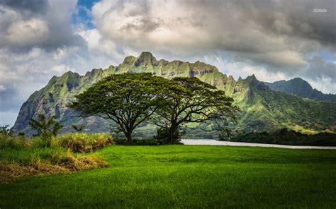 Oahu Wallpaper - WallpaperSafari