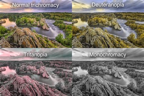 Colour blindness – Colour Theory: Understanding and Working with Colour