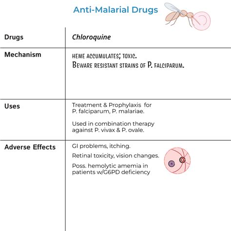 Primaquine Mechanism Of Action